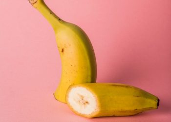 Ursula :  le Mercorsur bien-sûr !