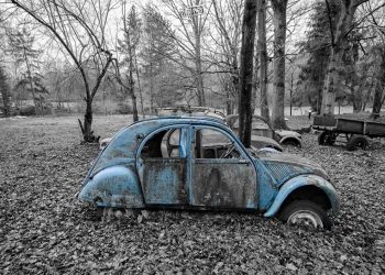 Ursula :  le Mercorsur bien-sûr !